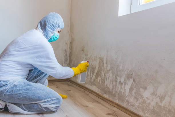 Hvac And Air Duct Mold Remediation inspection of HVAC system in Spring Lake
